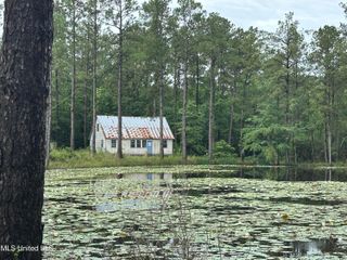 261 Tom Chance Road, Poplarville, MS 39470