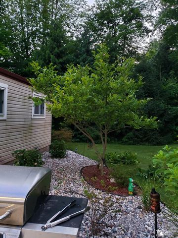 33790 Steadman Road, New Boston, MI 48164