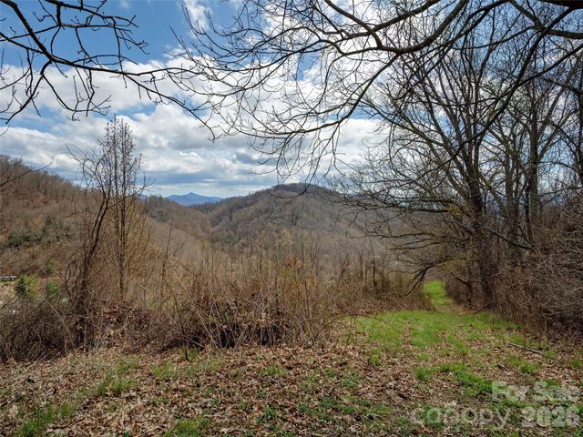 TBD Wilson Cove Road, Canton, NC 28716