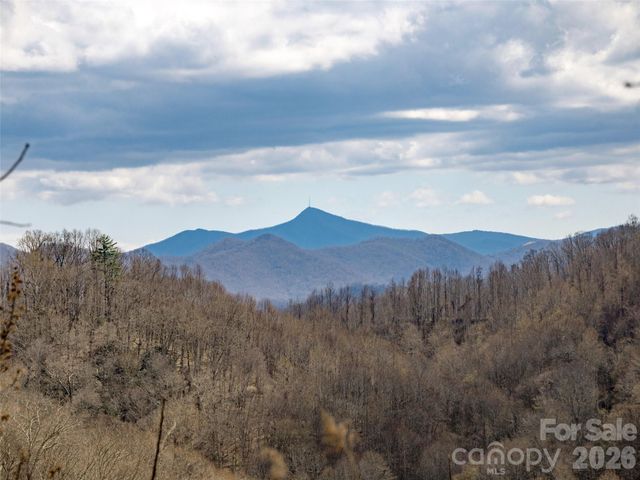 TBD Wilson Cove Road, Canton, NC 28716