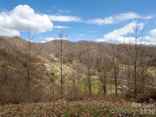 TBD Wilson Cove Road, Canton, NC 28716