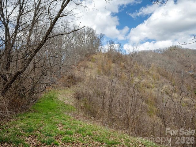 TBD Wilson Cove Road, Canton, NC 28716