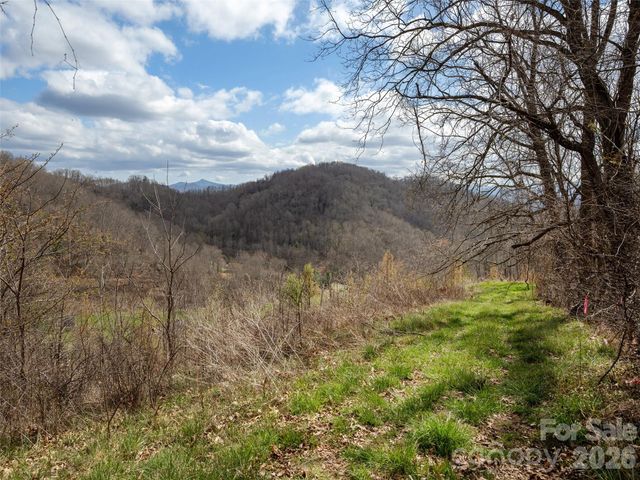 TBD Wilson Cove Road, Canton, NC 28716