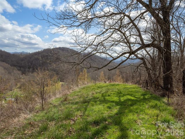 TBD Wilson Cove Road, Canton, NC 28716
