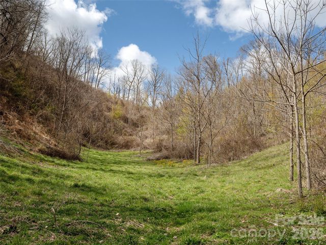 TBD Wilson Cove Road, Canton, NC 28716