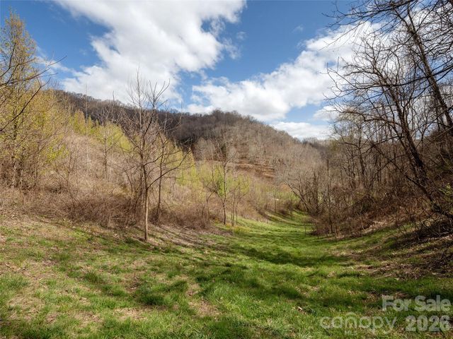 TBD Wilson Cove Road, Canton, NC 28716