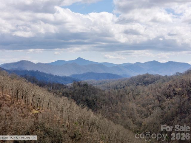 TBD Wilson Cove Road, Canton, NC 28716