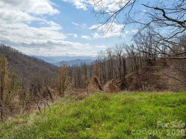 TBD Wilson Cove Road, Canton, NC 28716