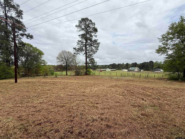 23205 County Road 2159, Troup, TX 75789