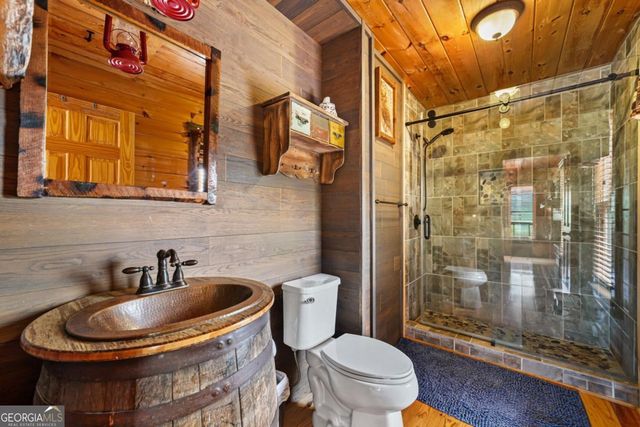 551 Amy Creek Circle, Ellijay, GA 30540