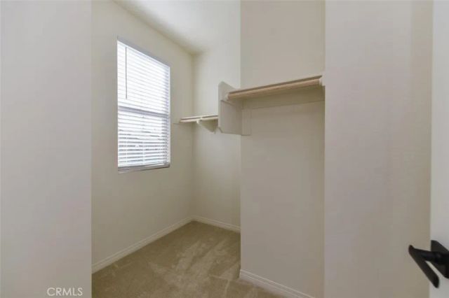 117 Halo, Irvine, CA 92618