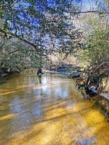 4343 E Plympton Road, Laurel Hill, FL 32567