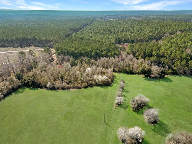 4343 E Plympton Road, Laurel Hill, FL 32567