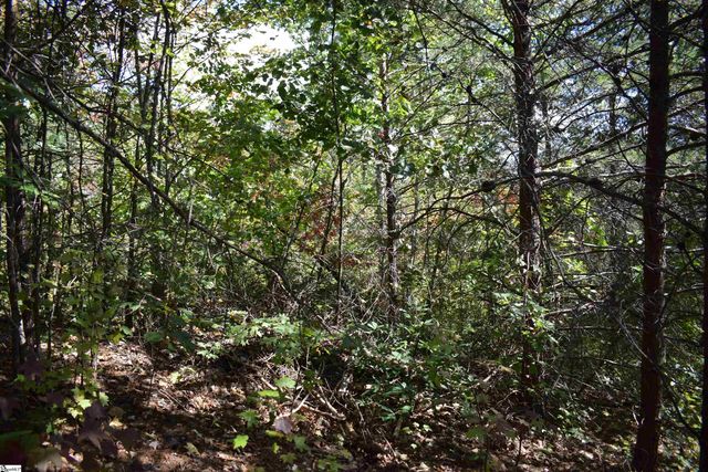 0 Holland Drive Lot 3, Columbus, NC 28722