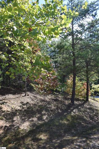 0 Holland Drive Lot 3, Columbus, NC 28722