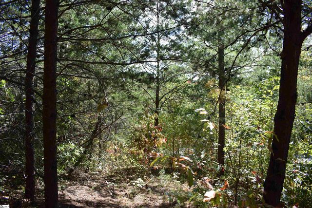 0 Holland Drive Lot 3, Columbus, NC 28722