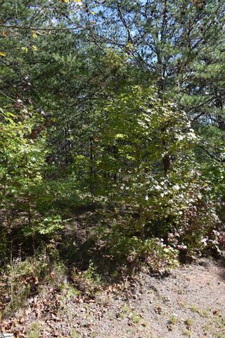 0 Holland Drive Lot 3, Columbus, NC 28722