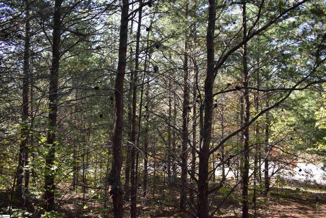 0 Holland Drive Lot 3, Columbus, NC 28722