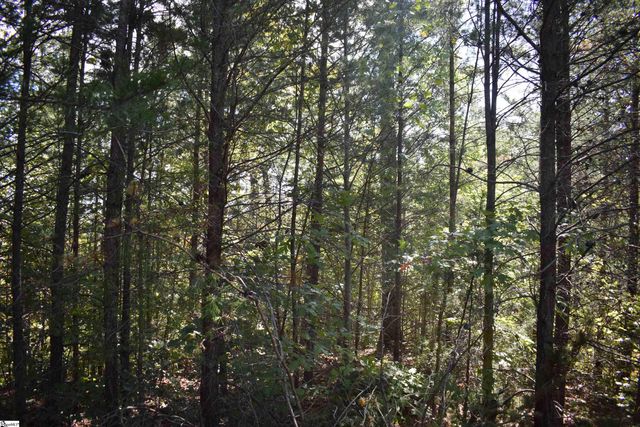 0 Holland Drive Lot 3, Columbus, NC 28722