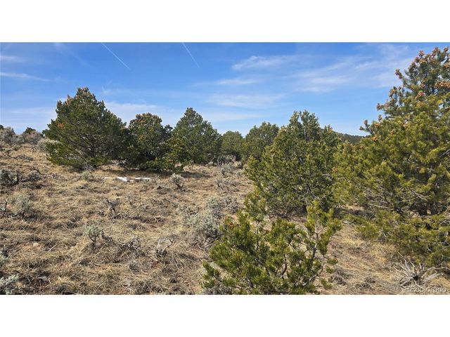 4536 Sarnoff Rd, Fort Garland, CO 81133