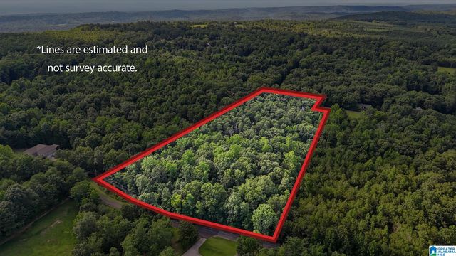 406 HOMESTEAD LANE, Remlap, AL 35133