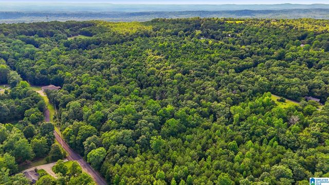 406 HOMESTEAD LANE, Remlap, AL 35133