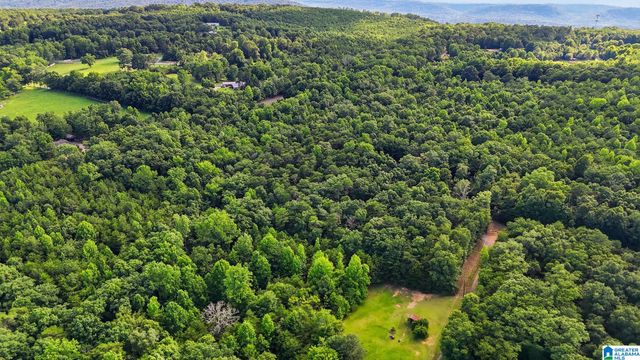 406 HOMESTEAD LANE, Remlap, AL 35133