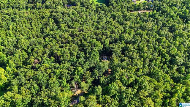 406 HOMESTEAD LANE, Remlap, AL 35133