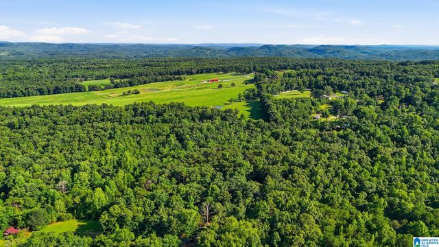 406 HOMESTEAD LANE, Remlap, AL 35133