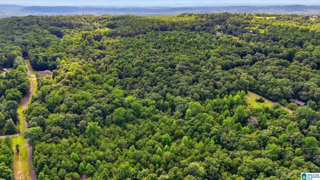 406 HOMESTEAD LANE, Remlap, AL 35133
