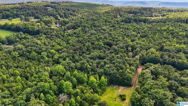 406 HOMESTEAD LANE, Remlap, AL 35133