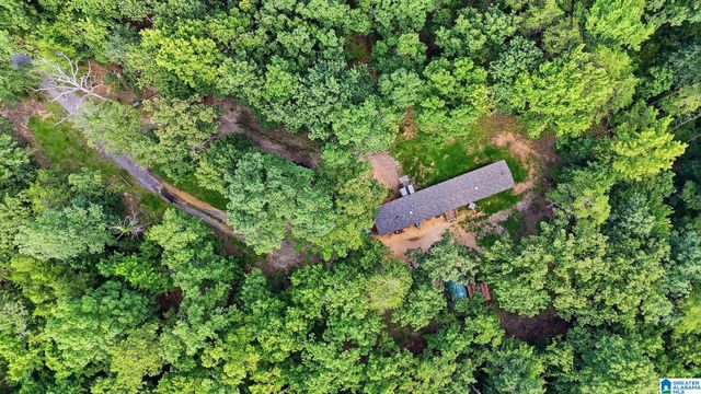 406 HOMESTEAD LANE, Remlap, AL 35133