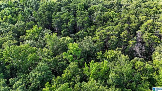 406 HOMESTEAD LANE, Remlap, AL 35133