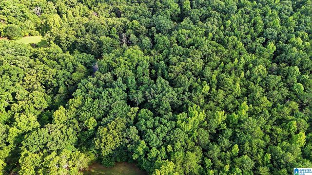 406 HOMESTEAD LANE, Remlap, AL 35133