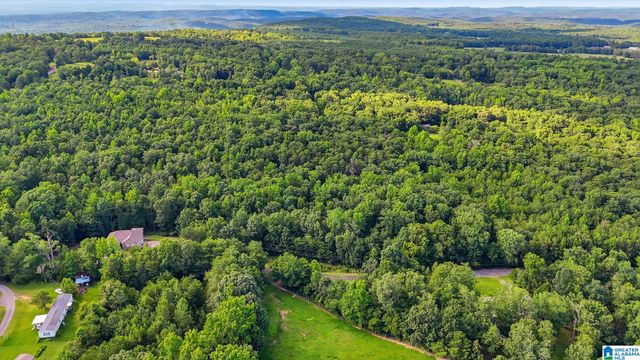 406 HOMESTEAD LANE, Remlap, AL 35133