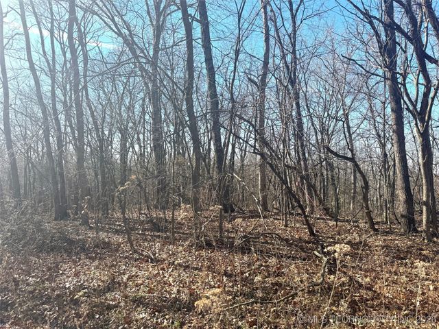 12555 Huckleberry Circle, Rogers, AR 72756