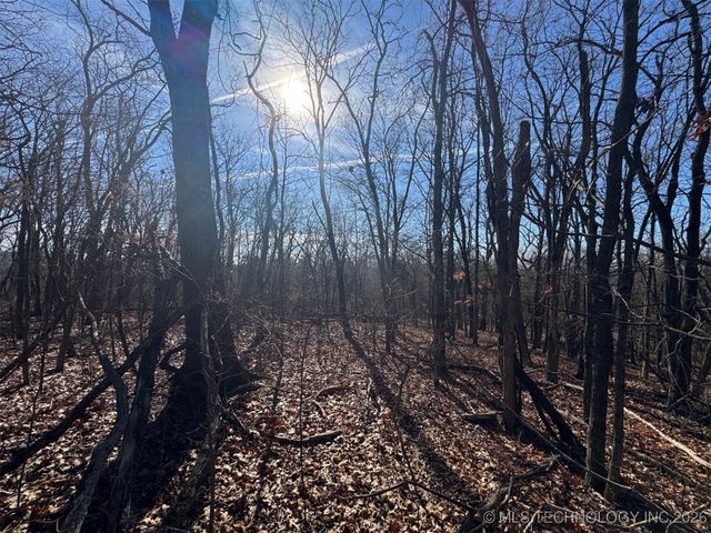 12555 Huckleberry Circle, Rogers, AR 72756