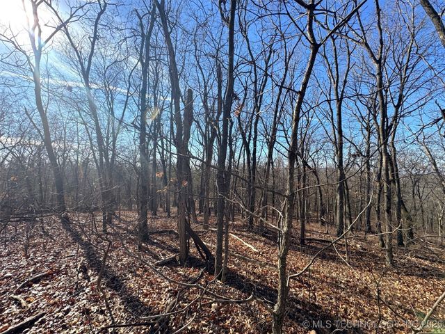 12555 Huckleberry Circle, Rogers, AR 72756