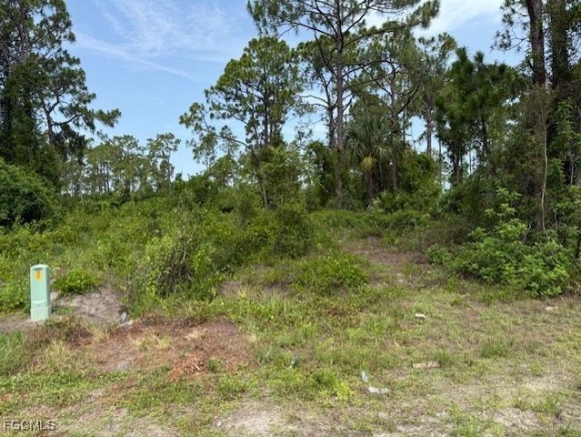 422 PAULINE AVE, Lehigh Acres, FL 33974