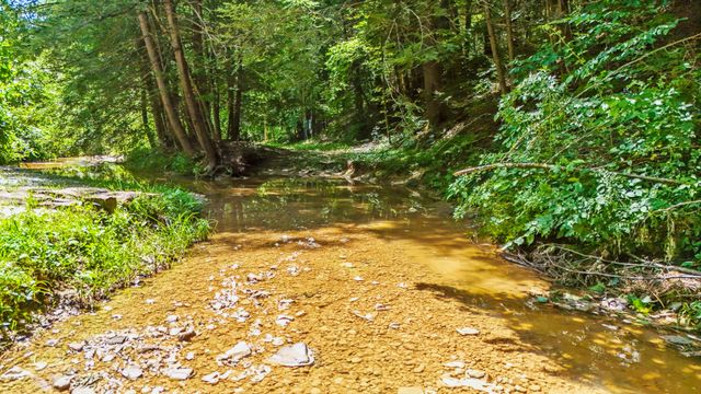 76 High Falls Creek Drive, Campton, KY 41301