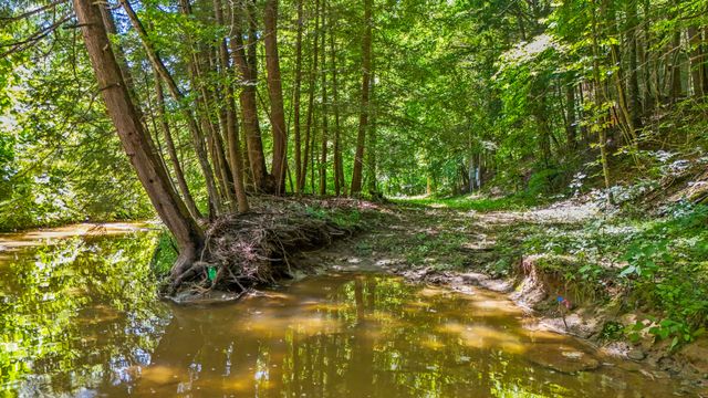 76 High Falls Creek Drive, Campton, KY 41301