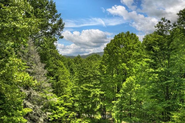 384 Mountain Highlands Court, Blue Ridge, GA 30513