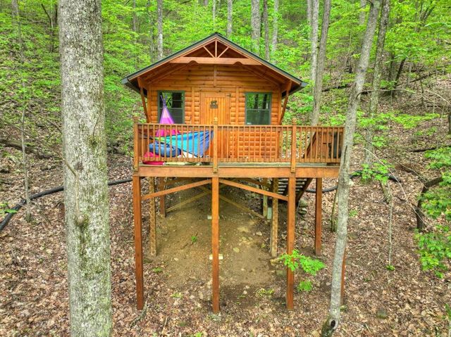 384 Mountain Highlands Court, Blue Ridge, GA 30513