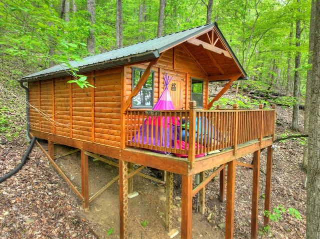 384 Mountain Highlands Court, Blue Ridge, GA 30513