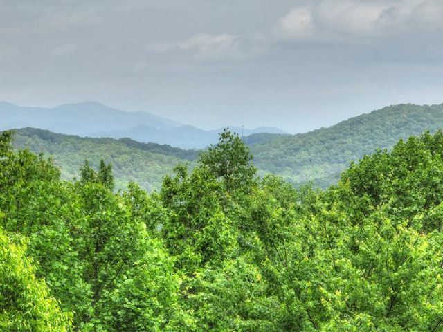 384 Mountain Highlands Court, Blue Ridge, GA 30513