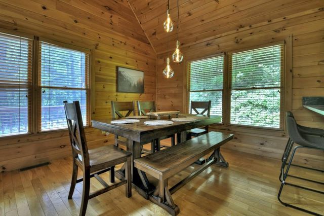 384 Mountain Highlands Court, Blue Ridge, GA 30513