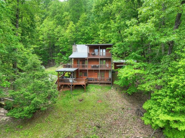 384 Mountain Highlands Court, Blue Ridge, GA 30513