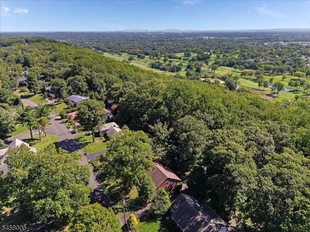 18 Tree Top Dr, Springfield Twp., NJ 07081