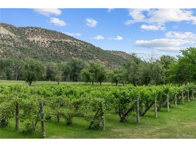 34074 Fruitland Mesa Rd, Crawford, CO 81415