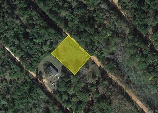 1544 Ole Long Pull Road, Livingston, TX 77351